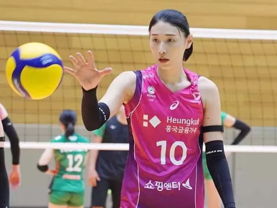 top-3-libero-terbaik-dalam-dunia-voli